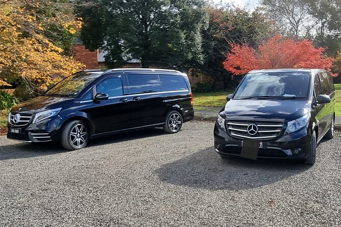 Private and Customised Great Ocean Road and 12 Apostles Tour - Iconic Twelve Apostles Rock Formations