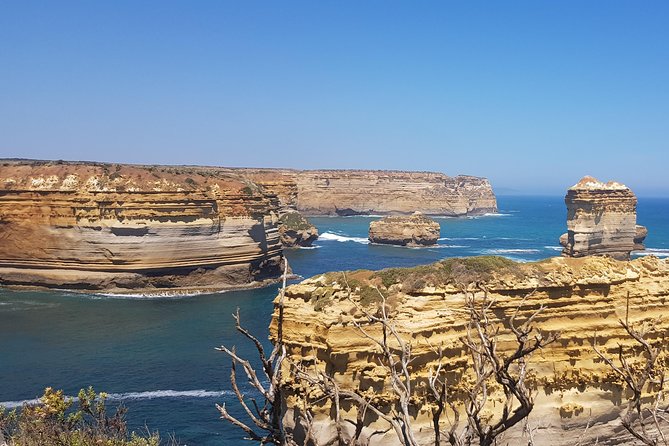Private and Customised Great Ocean Road and 12 Apostles Tour - Cancellation Policy