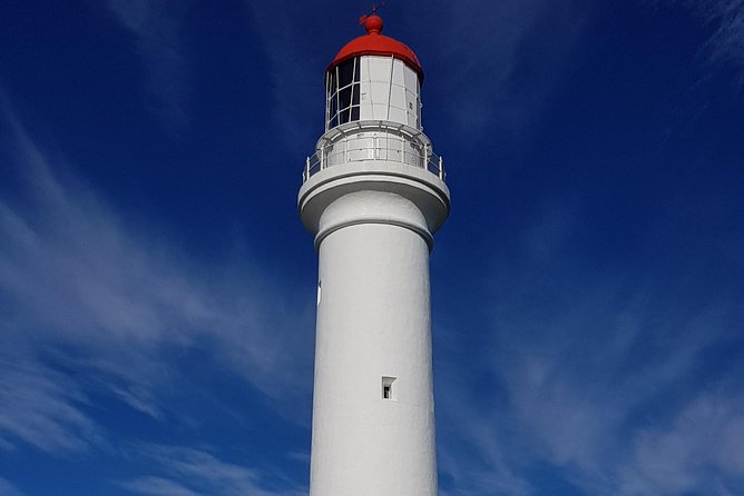 Private and Customised Great Ocean Road and 12 Apostles Tour - Weather Policy