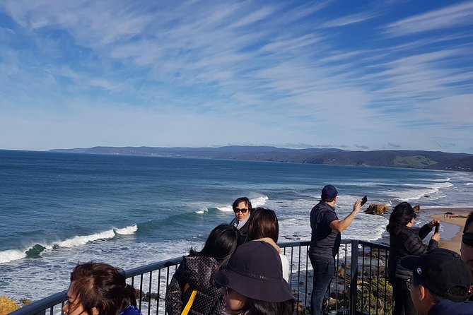 Private and Customised Great Ocean Road and 12 Apostles Tour - Traveler Tips