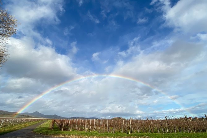 Private and Customizable: Alsace Wine Route HIGHLIGHTS in 3 Hours - Exploring Charming Towns