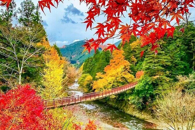 Private and Customizable Kyoto Tour with English Speaking Driver - Frequently Asked Questions