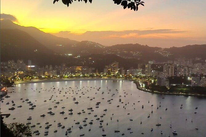 Private and Customizable Tour in Rio De Janeiro - Tour Details