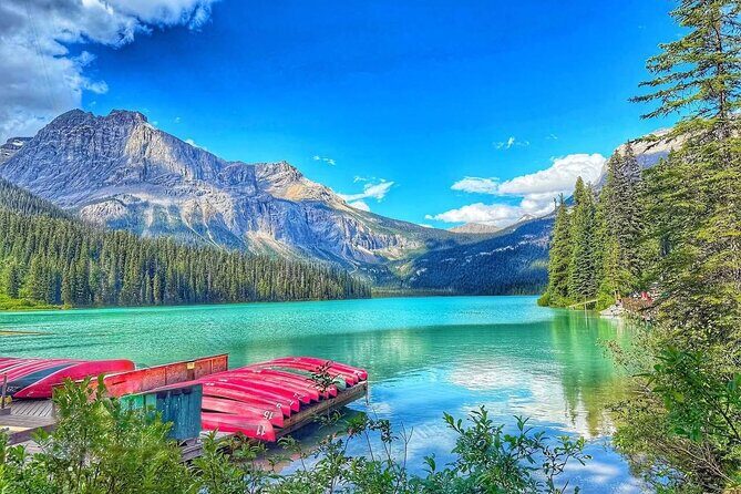 Private and Customizable Transport Airport Pickups and Drop Offs - A Comfortable and Customizable Transfer Experience