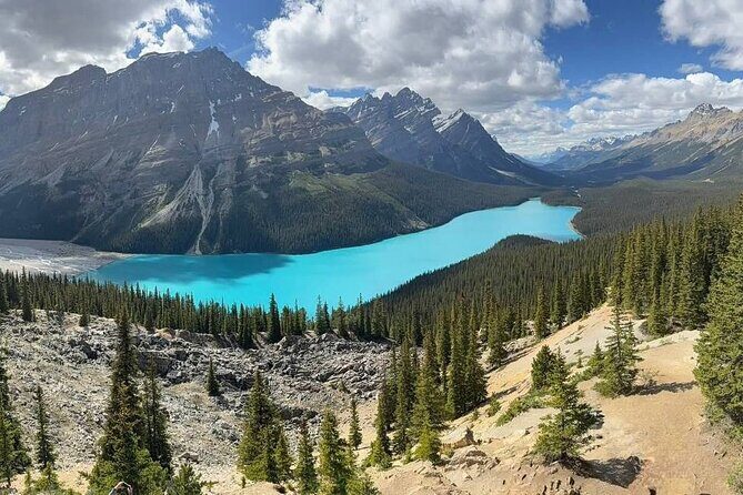 Private and Customizable Transport Airport Pickups and Drop Offs - Final Thoughts