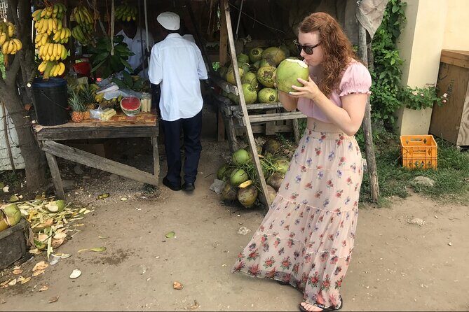 Private and Customize Highlight Tour to Montego Bay from Falmouth - Good To Know