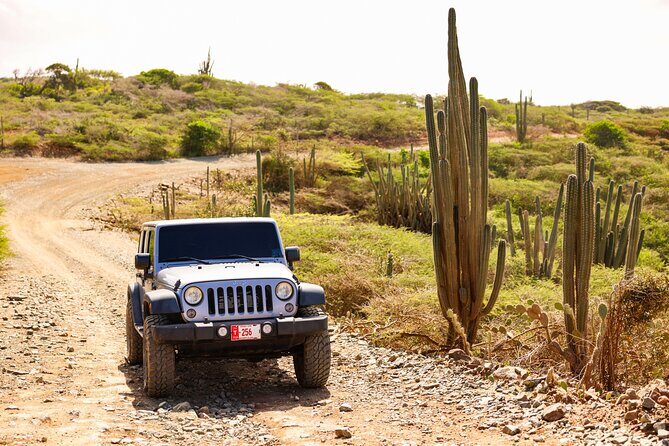 Private and Customized Aruba 4X4 Jeep Adventure - Why Choose the Aruba 4x4 Jeep Adventure?