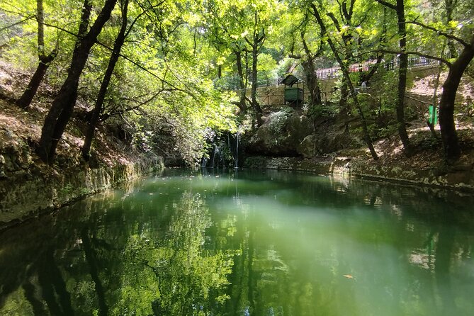 Private and Customized Sightseeing Tour of Rhodes - Operator Details