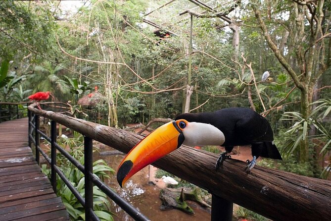 Private and Customized Tour of Iguassu Falls - Assistance and Cancellation Policy