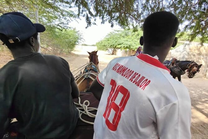 Private and Guided Excursion to the Kingdom of Sine and Saloum - Good To Know