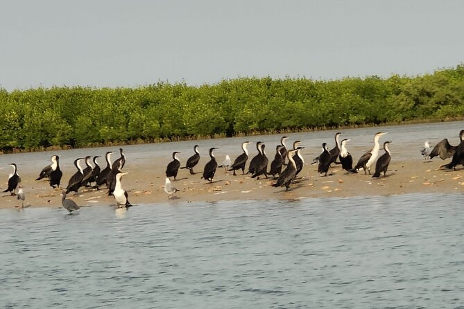 Private and Guided Excursion to the Kingdom of Sine and Saloum - Pickup Details