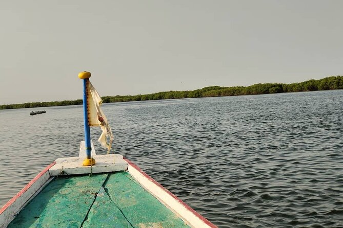 Private and Guided Excursion to the Kingdom of Sine and Saloum - Inclusions and Exclusions