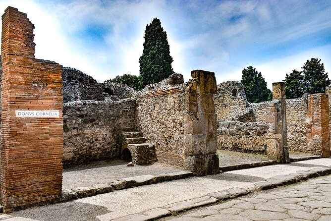 Private and Guided Tour to Pompeii From Positano - Inclusions and Meeting Points