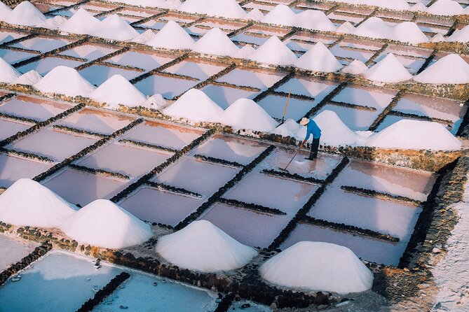 Private and Guided Tour to the Salinas De Janubio With Tasting - Highlights of the Tour