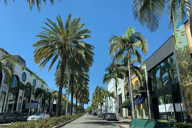 Private and Small Group From San Diego to Los Angeles Tour - Viator Travelers Feedback