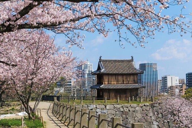 Private and Unique Fukuoka Cherry Blossom Sakura Experience - Additional Information