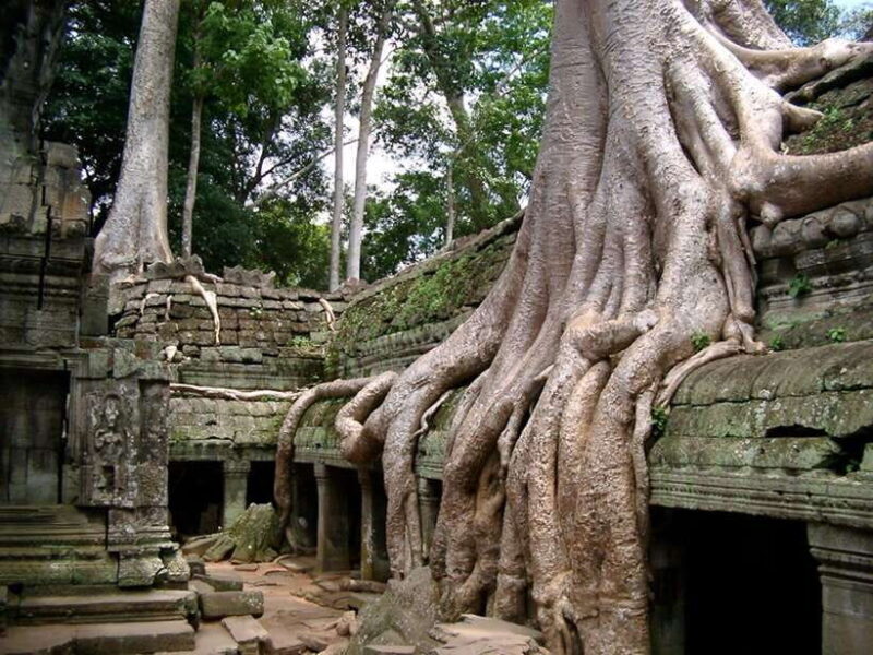 Private Angkor Sunrise, Guide Breakfast and Tuktuk included - Authentic Experiences and Unique Insights