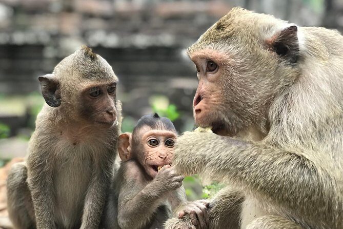 Private Angkor Sunrise & Sunset Tour - The Sum Up: Who Should Consider This Tour?