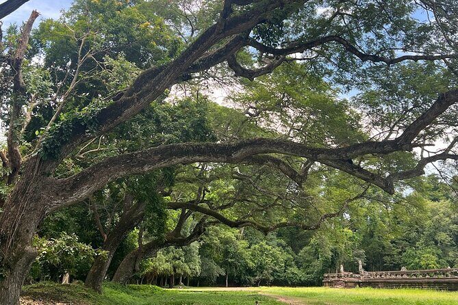 Private Angkor Sunrise & Sunset Tour - Final Thoughts