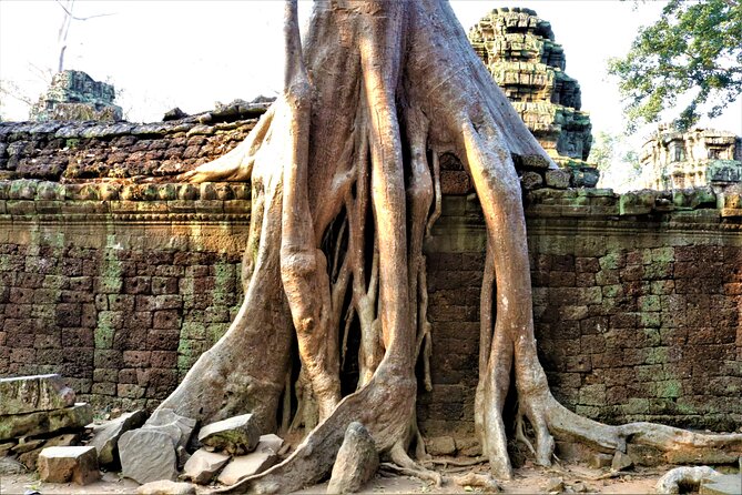Private Angkor Temples Walking Tour From Siem Reap - Cancellation Policy