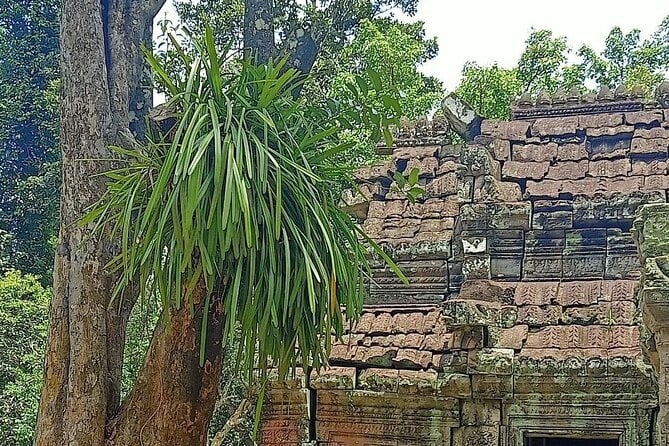 Private Angkor Wat Guided Sunset Tour - Additional Information