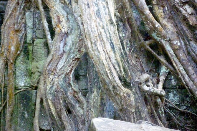 Private Angkor Wat One Day Tour - Best of Angkor - Reviews and Ratings