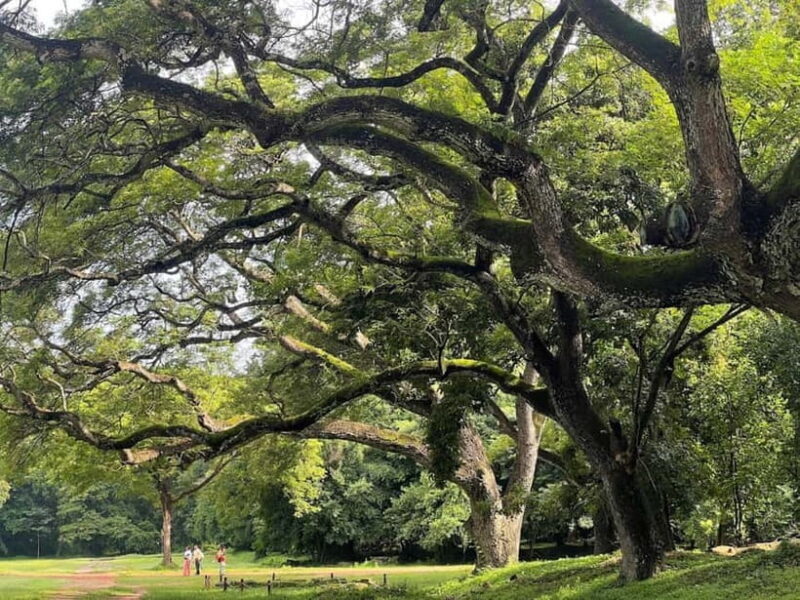 Private Angkor Wat Sunrise Small Tour - Practical Tips: What to Bring and What to Avoid