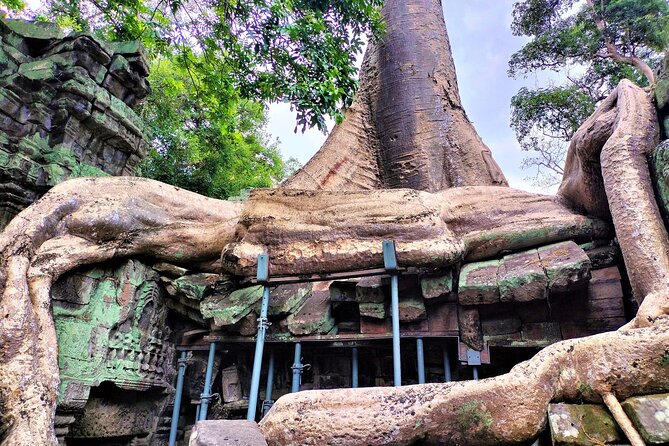 Private Angkor Wat Sunrise, Ta Promh, Banteay Srei, Bayon Tour - Reviews