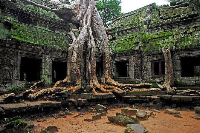 Private Angkor Wat Sunrise Tour - Example Review