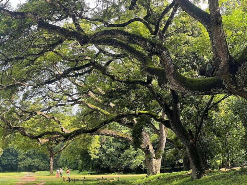 Private Angkor Wat Temple Tour - Additional Practical Details