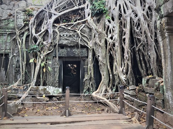 Private Angkor Wat Tour From Siem Reap - Reviews