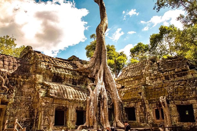 Private Angkor Wat Tour From Siem Reap - Overview and Cancellation Policy