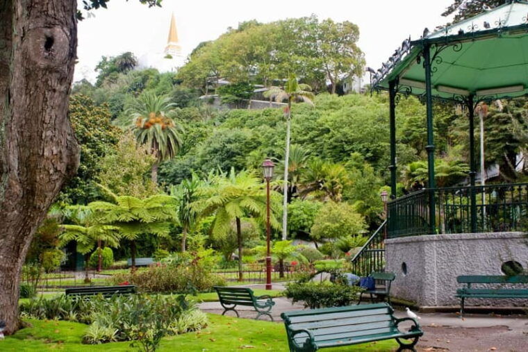 Private Angra do Heroísmo: Walking CityTour with Tasting - Who Will Love This Tour?