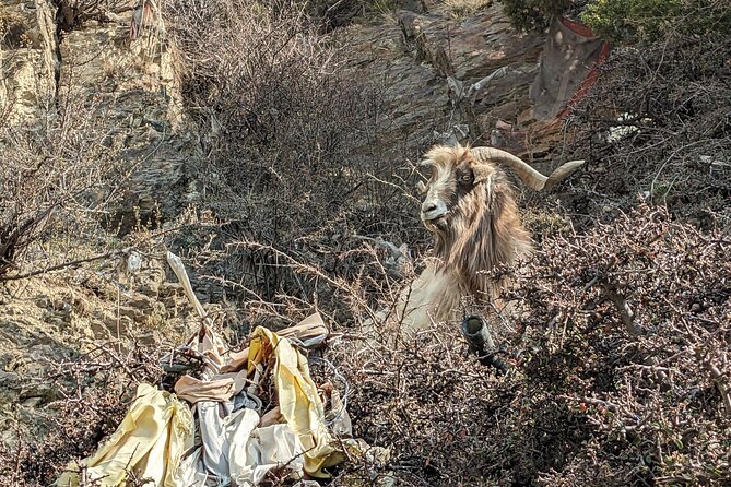 Private Annapurna Circuit Trek - Cancellation Policy