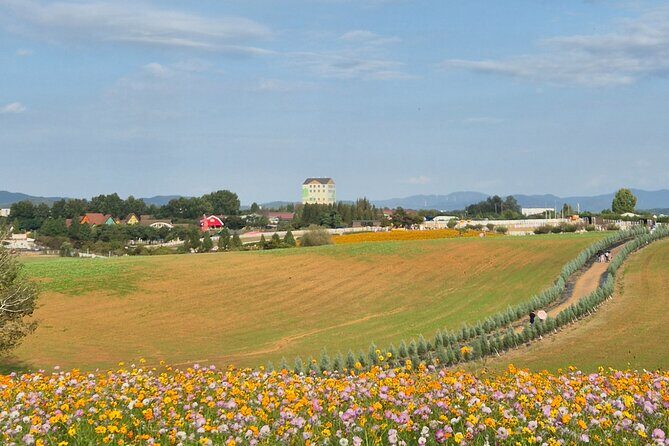 [Private] Anseong Farmland Flower Festival & Golden Buddha Temple - Good To Know