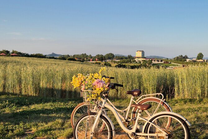 [Private] Anseong Farmland Flower Festival & Golden Buddha Temple - Real Traveler Insights and Tips