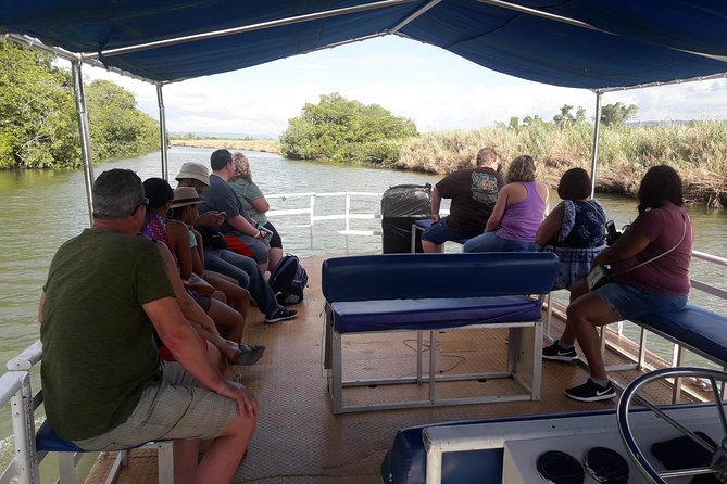 Private Appleton Estate Rum and Black River Safari Tour - Pricing Details