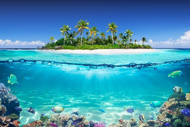 Private Aquafari Tour in Curaçao from Willemstad - Final Thoughts