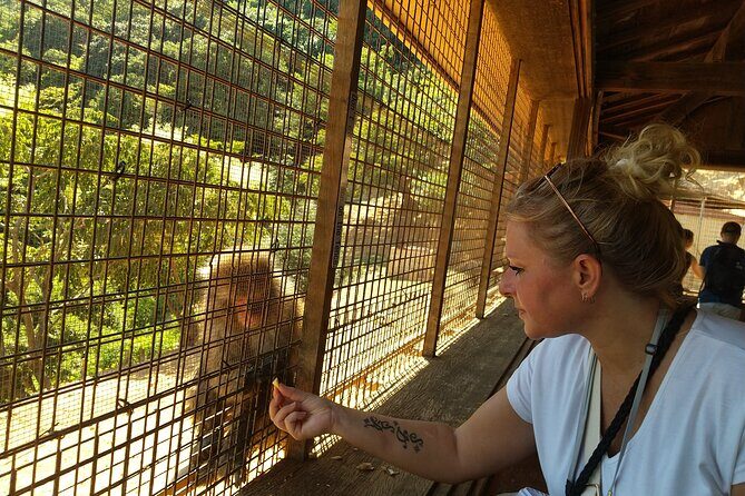Private Arashiyama Tenryuji Temple Bamboo Grove and Monkeys Tour - Practical Details and Considerations