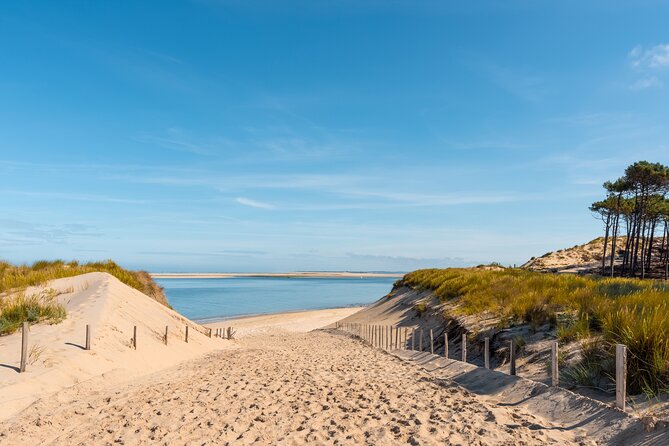 Private Arcachon Full-Day Tour, From Bordeaux - Tour Overview
