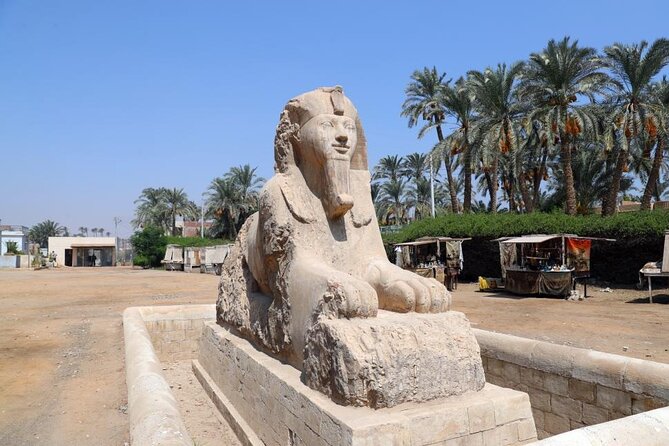 Private Archaeological Tour in Giza, Dahshour, and Saqqara - Lunch Break
