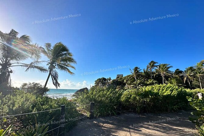 Private Archaeological Tour to Coba and Tulum Mayan Ruins - Traveler Photos and Reviews