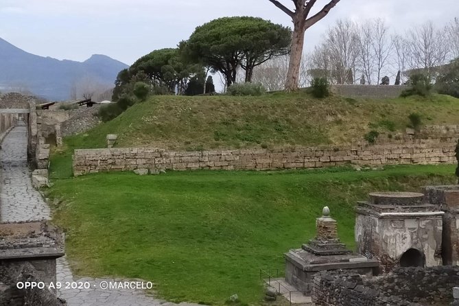 Private Archaeologist Service to Explore Pompeiis Secrets Any Time Ticket Incl. - Convenient Meeting Point and Pickup Location