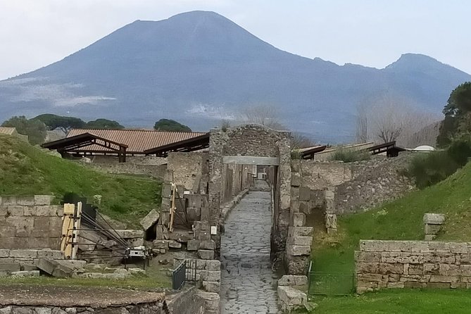 Private Archaeologist Service to Explore Pompeiis Secrets Any Time Ticket Incl. - Rave Reviews From Satisfied Travelers