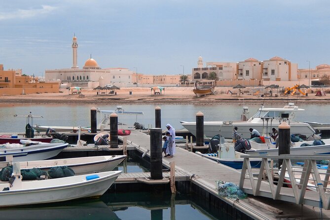 Private Archeological North Qatar Tour - Customizable Itinerary