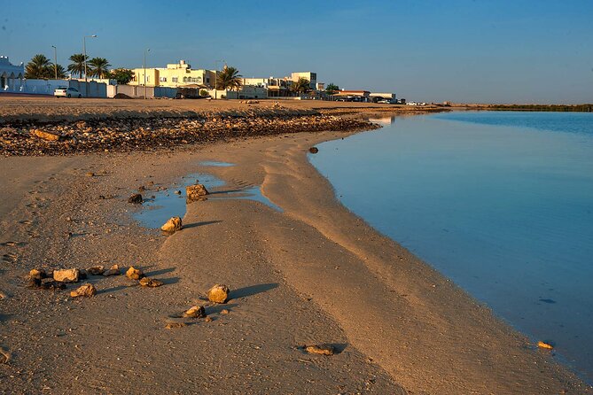 Private Archeological North Qatar Tour - Group Size and Pricing