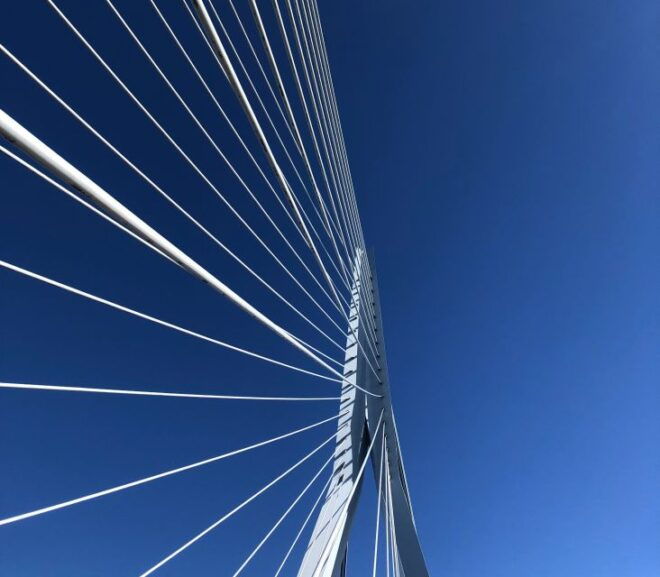 Private Architecture Walking Tour of Rotterdam - Customer Reviews