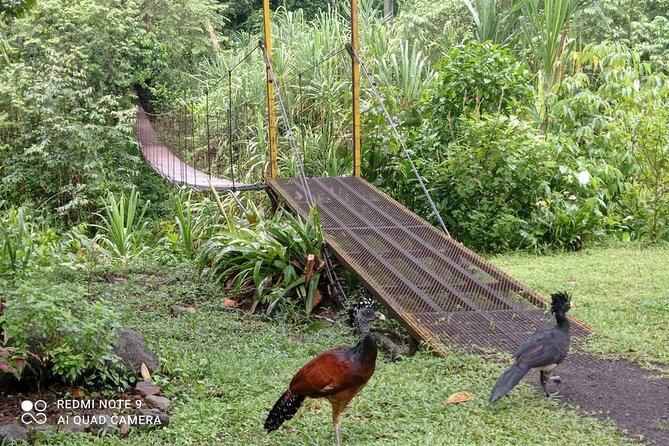 Private Arenal Volcano Hike - Cancellation Policy