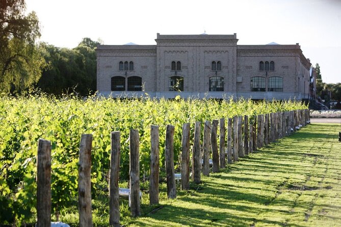 Private Argentine Barbecue Experience With Winery Visits - Explore Renowned Wineries in Argentina