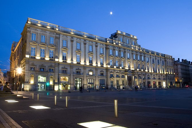 Private Arrival or Departure Transfer in Lyon (Hotel or Airport Pick-Up) - Additional Information